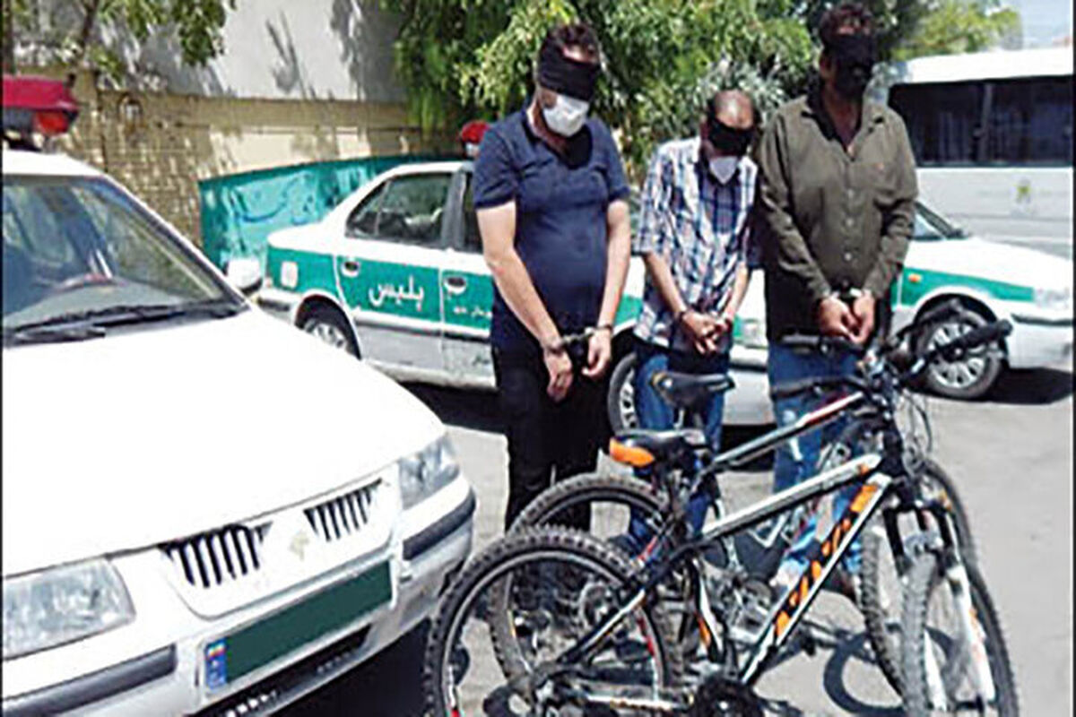 باند سارقان دوچرخه