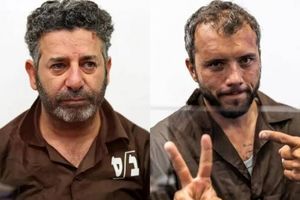 دو عضو ناوگان الصمود آزاد شدند