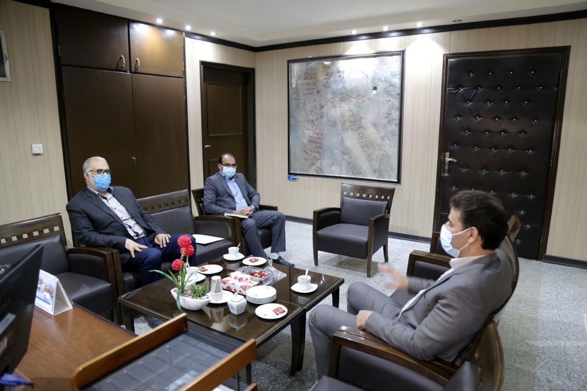 فنر و حرفه ای