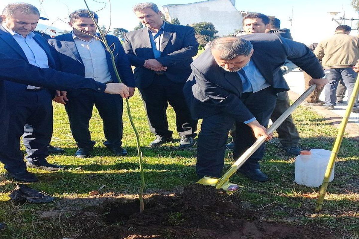 شریفی فرماندار چالوس 