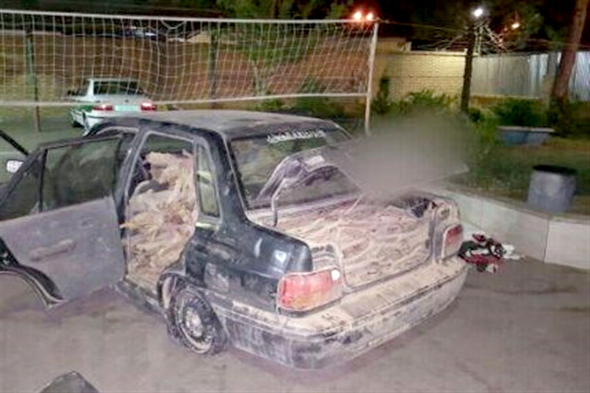 قاچاق  چوب تاغ