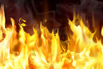 5 مصدوم در اثر انفجار ترقه در یک کاروان عروسی در شهرستان تیران و کرون