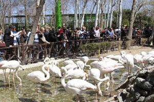 بازدید 110 هزار نفر از مسافران نوروزی از مراکز گردشگری و تفریحی ناژوان