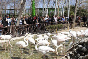 بازدید 110 هزار نفر از مسافران نوروزی از مراکز گردشگری و تفریحی ناژوان