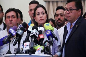 با کاندیدای واحد در انتخابات ریاست جمهوری شرکت می کنیم