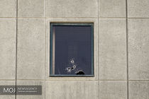 12 شهید و 42  مجروح /رسانه ها از انتشار اخبار غیر رسمی اجتناب کنند