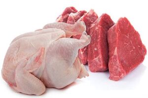 مشکلات حوزه مرغ گرم در گیلان به حداقل رسیده  است