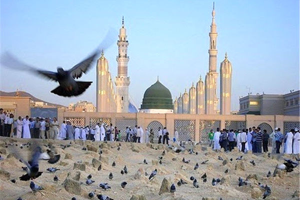 اعزام آخرین کاروان زائران حج تمتع ۱۴۰۵ به مدینه منوره