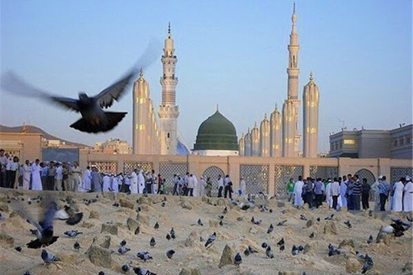 اعزام آخرین کاروان زائران حج تمتع ۱۴۰۵ به مدینه منوره