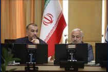 هیچ آلودگی ناشی از نیروگاه اتمی برق متسامور ارمنستان وجود ندارد