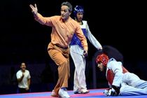 داور المپیکی تکواندوی ایران به روسیه می رود