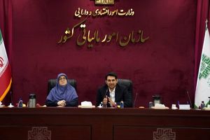 برای کسانی که مالیات خود را به موقع می‌پردازند از ابزارهای تشویقی استفاده شود