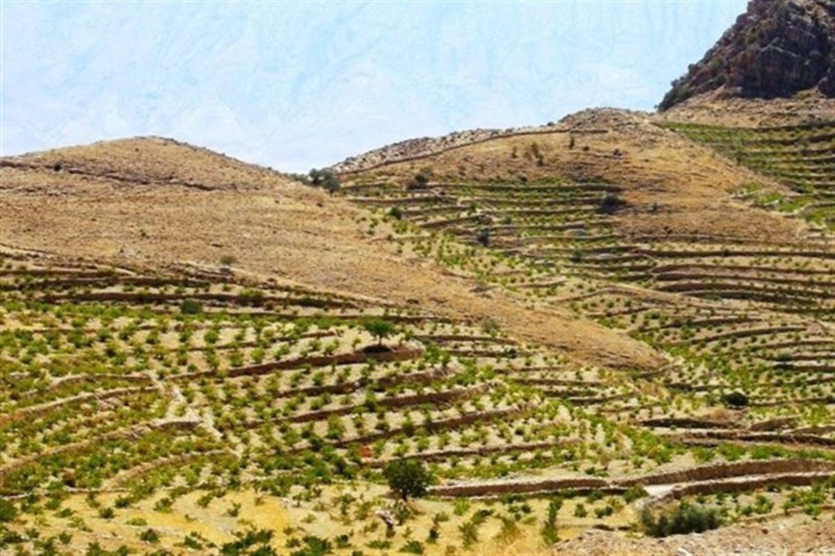 توسعه