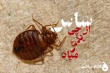 ساس از چی بدش می‌آید؟