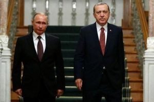 پوتین و اردوغان دیدار می‌کنند