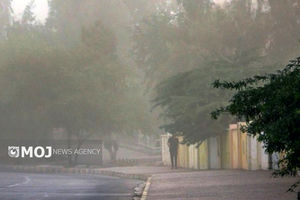 وزش باد شدید در تهران از فردا