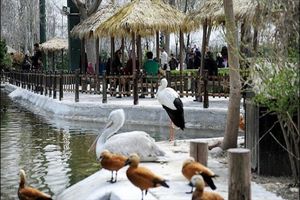 تعطیلی مراکز تفریحی و گردشگری ناژوان در تاسوعا و عاشورای حسینی