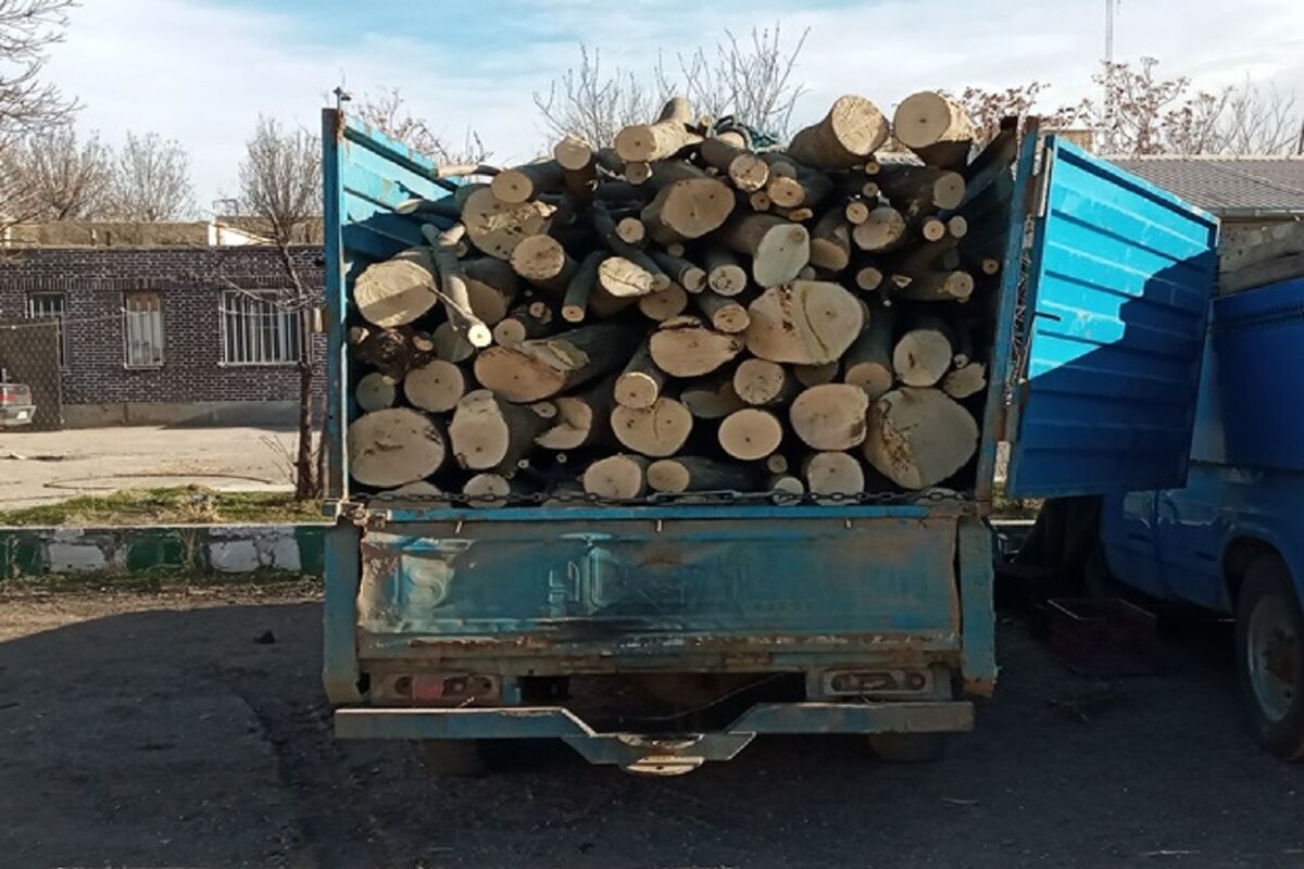 قاچاق چوب