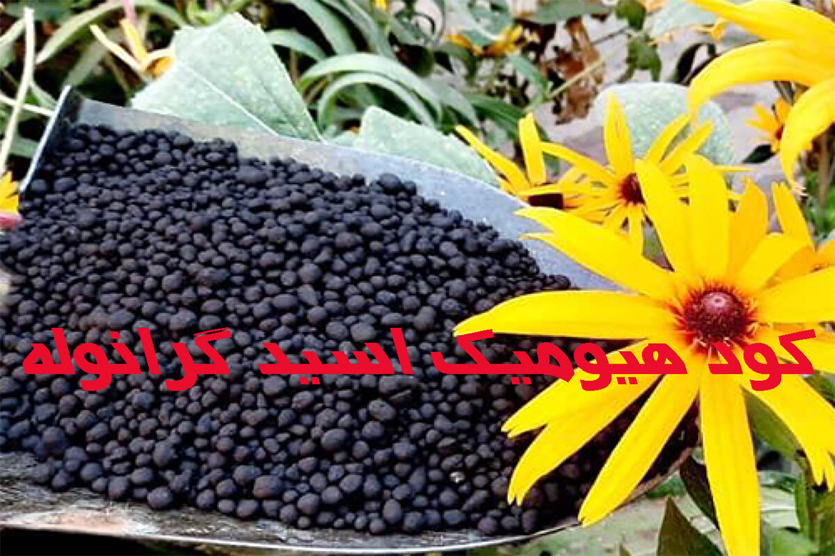  صادرات کود هیومیک