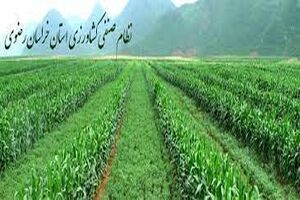 نظام صنفی کشاورزی و منابع طبیعی خراسان رضوی با ۱۳۹ هزار عضویت