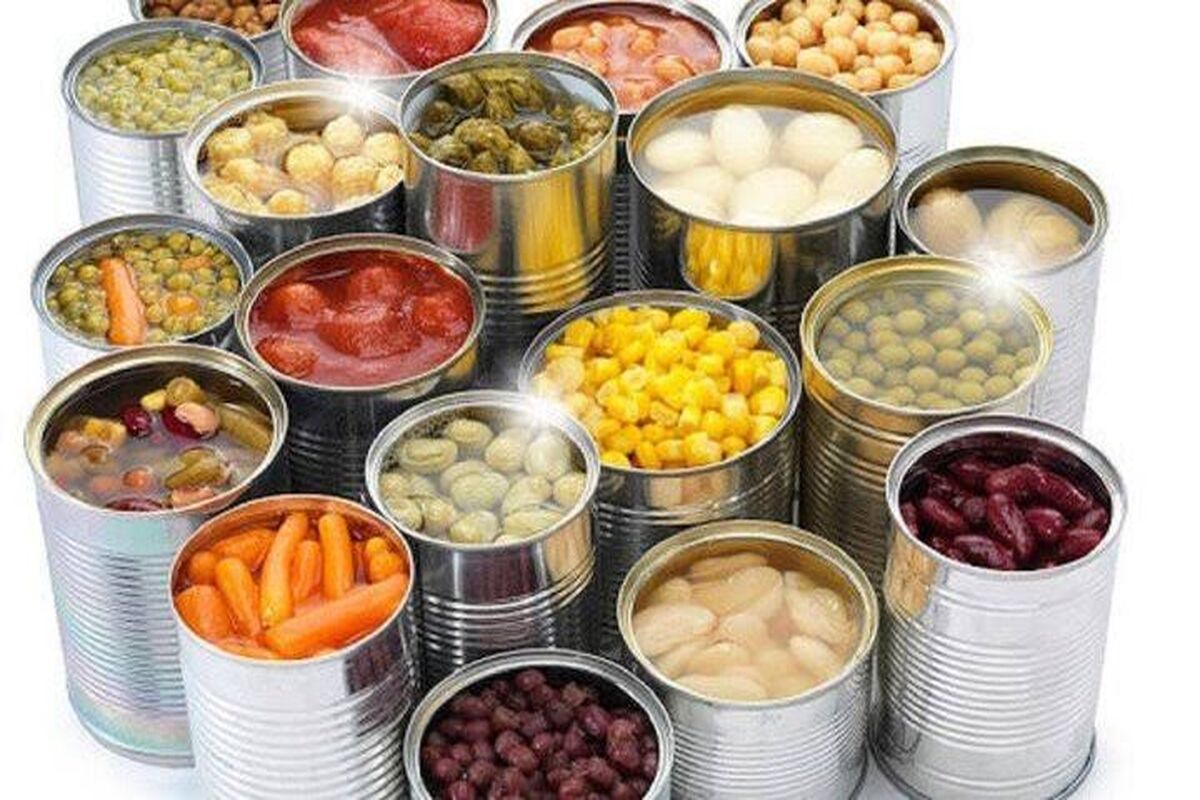 پروژه صنایع تبدیلی