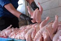 عرضه گسترده مرغ در تمامی میادین و فروشگاه های تهران از امروز