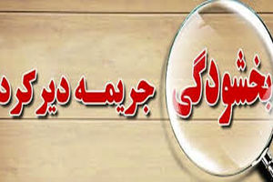 طرح جدید بخشودگی جرایم بانکی به نفع افراد "خاص"/ حیف و میل بیت المال به خاطر بدهکاران بانکی/ ضرر بانکها و سهامداران در مجلس کلید خورد