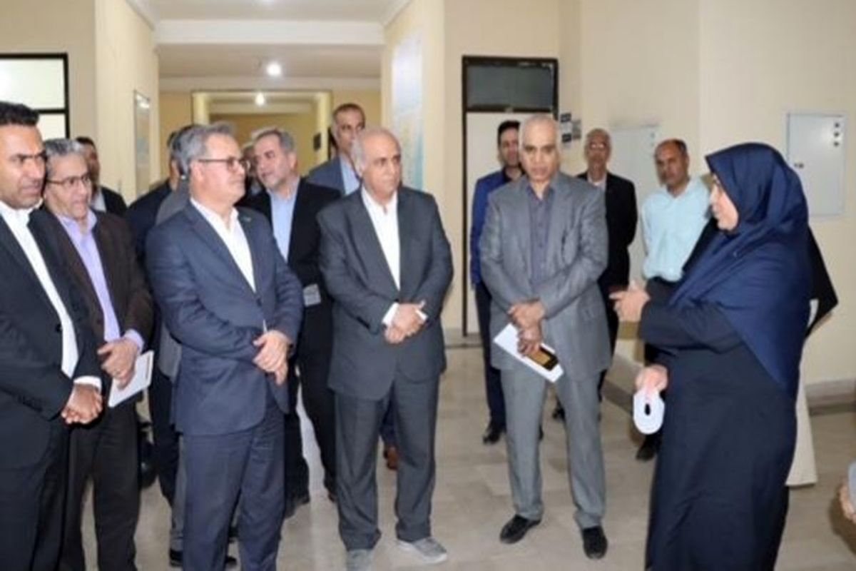 رئیس سازمان تات 