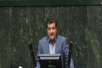 دولت فقط دلالان را عامل گرانی می داند/ دولت نمی خواهد تقصیرهای خود را قبول کند