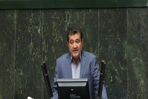 دولت فقط دلالان را عامل گرانی می داند/ دولت نمی خواهد تقصیرهای خود را قبول کند