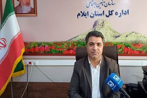  ۸۵۴ میلیارد تومان هزینه تأمین اجتماعی ایلام برای اشتغال و رفاه خانواده‌ها