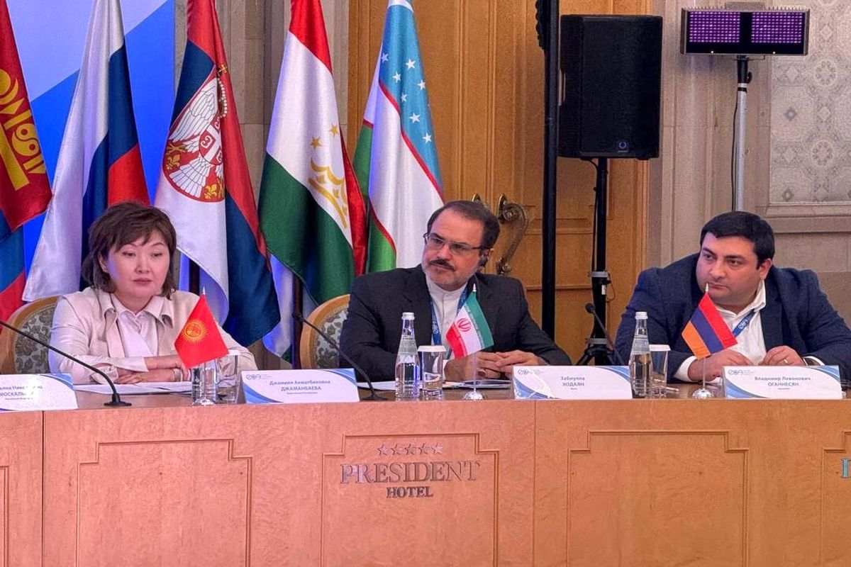 رئیس سازمان بازرسی