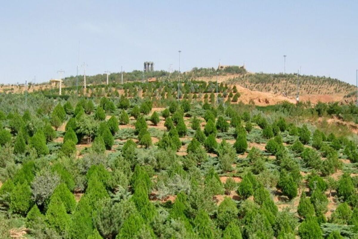 شهرداری تبریز