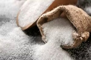 خودکفایی ۱۰۰ درصدی در تولید شکر تا پایان برنامه 