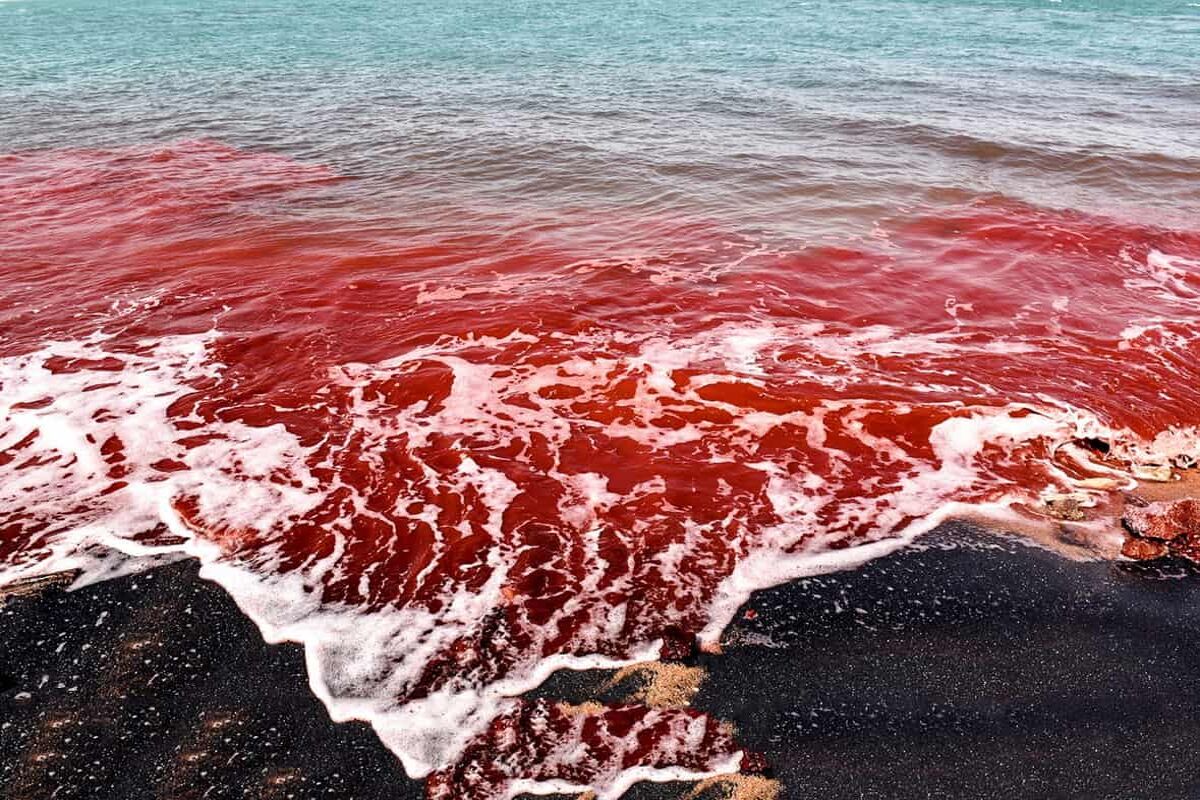 هرمز2
