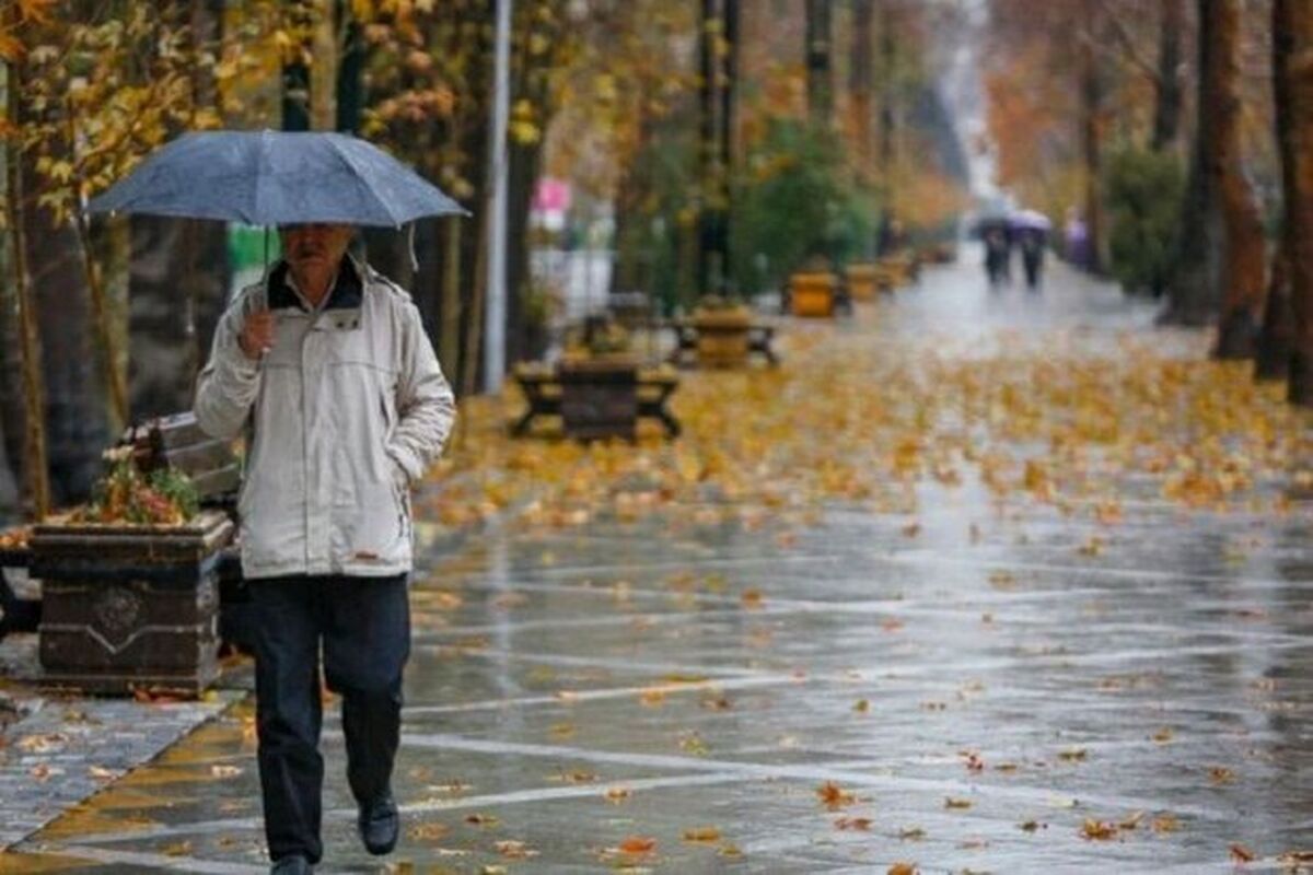 بارش باران 
