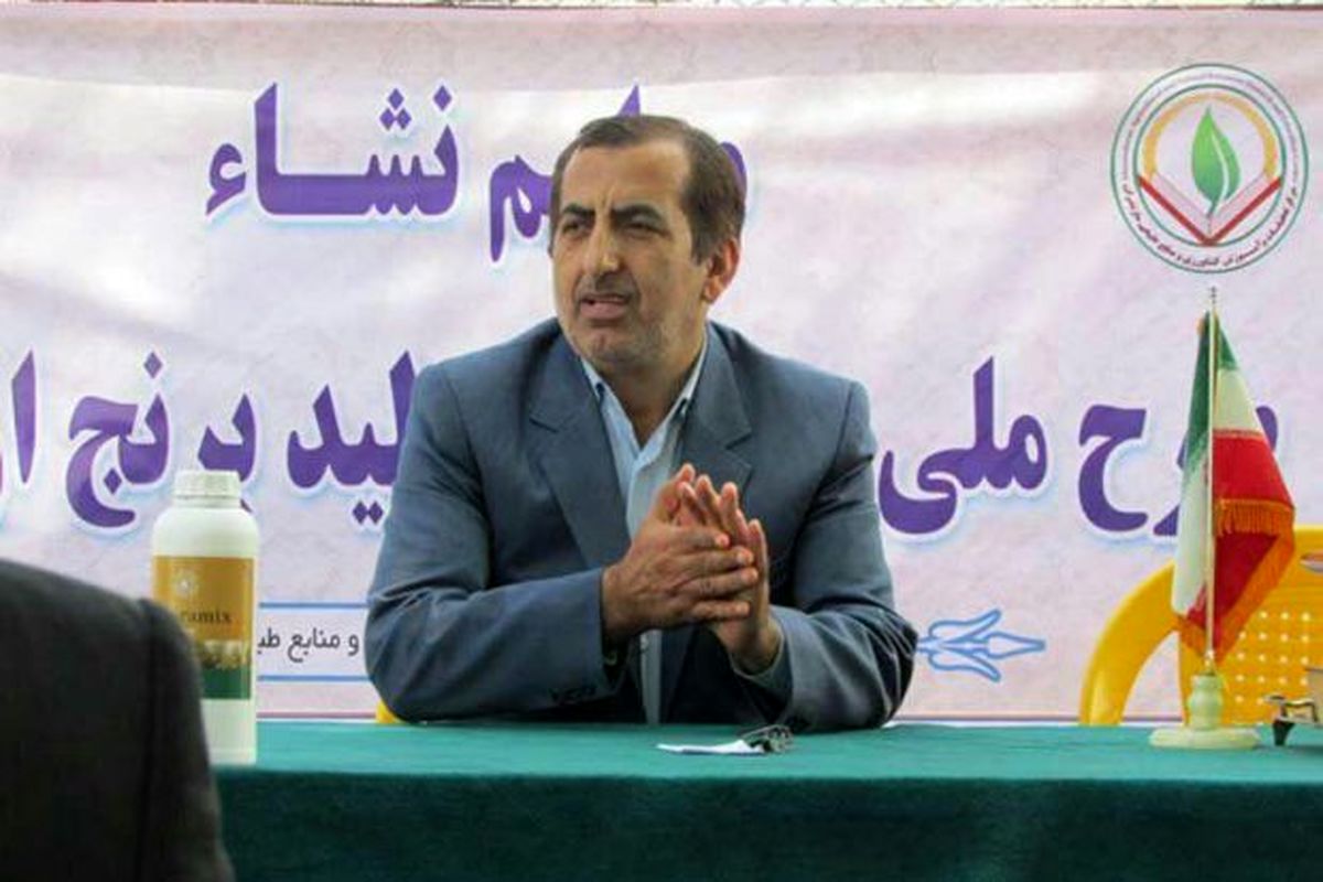 شهیدی فر