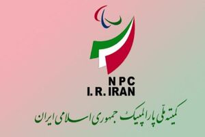 هادی رضایی به عنوان دبیر اجرایی کمیته به مدت چهار سال انتخاب شد