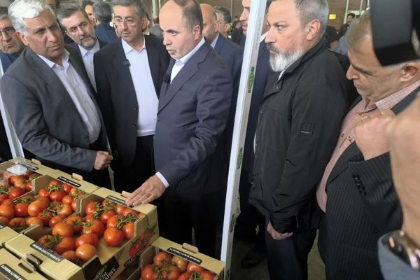  وزیر جهاد کشاورزی از بازار عرضه عمده گوشت و مرغ پایتخت بازدید کرد