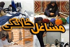 طرح ملی توسعه مشاغل خانگی در سه فاز مختلف در رزن اجرامی شود