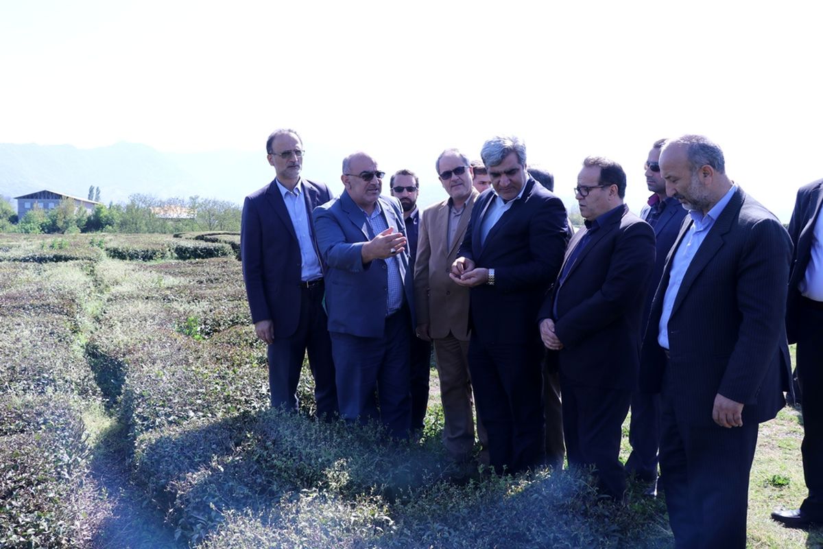 بازدید- استاندار گیلان