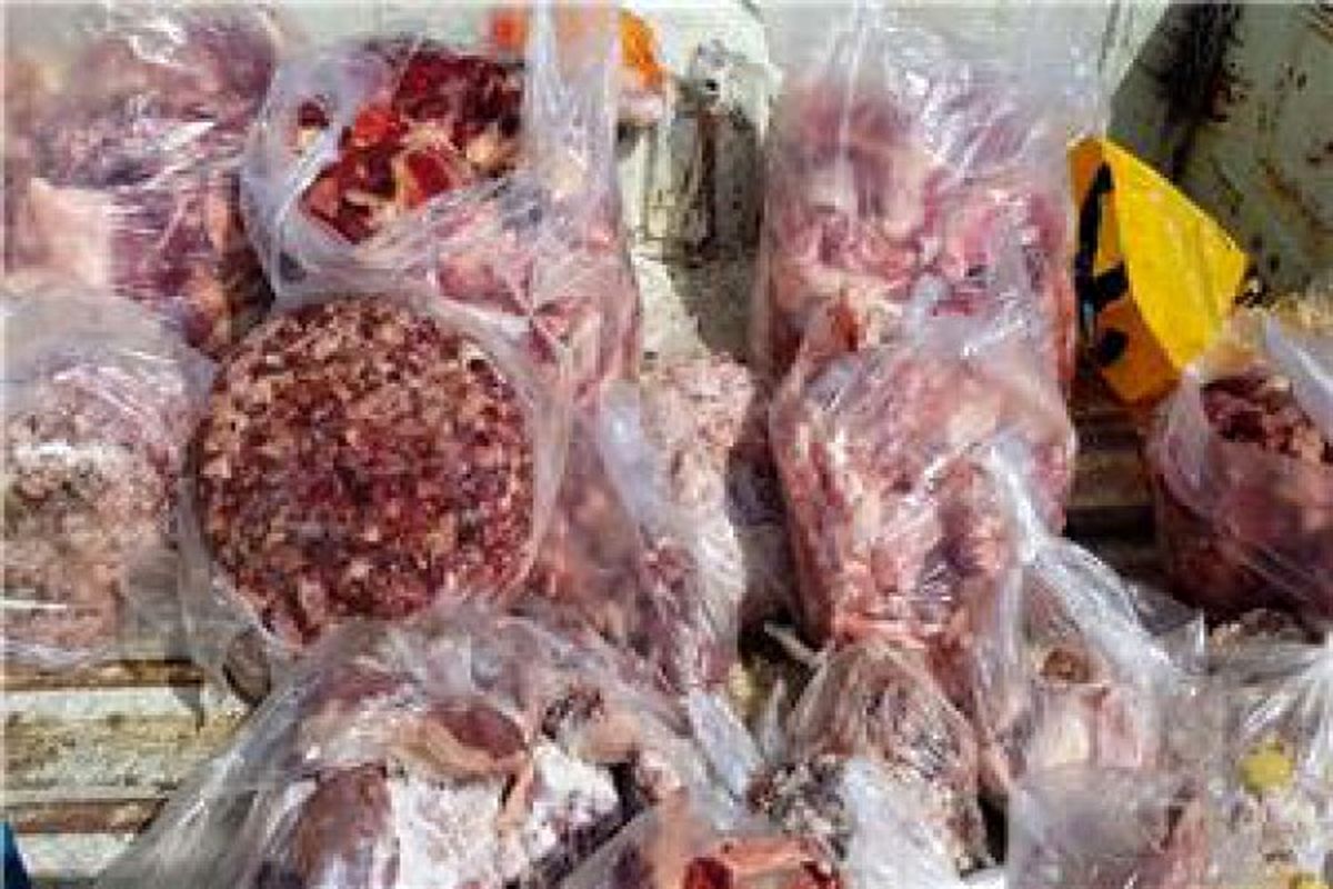 فرآورده خام دامی فاسد در کرمانشاه