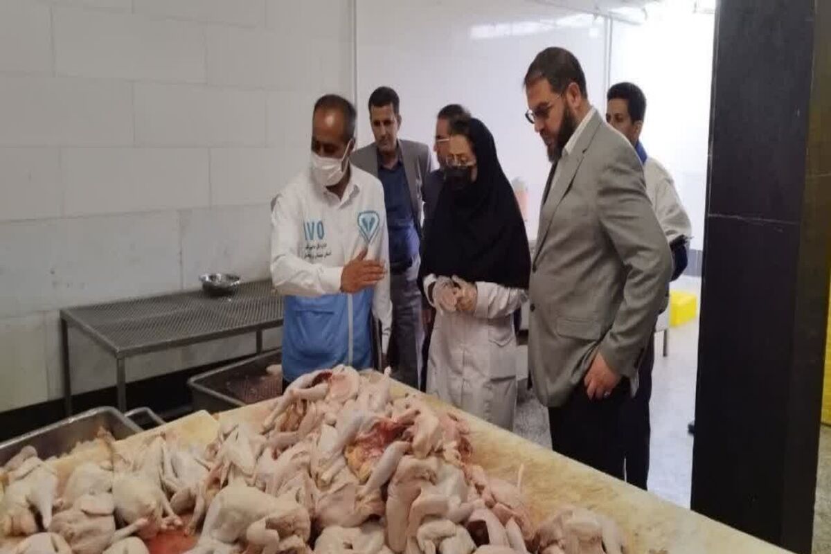 بازدید