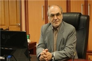 افزایش مجموع شبکه‌گذاری گاز در سال جاری