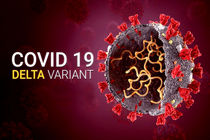 قدرت سرایت دلتا ۳۰۰ برابر کرونای ووهان/ تفاوت پیک پنجم کرونا با سایر پیک‌ها