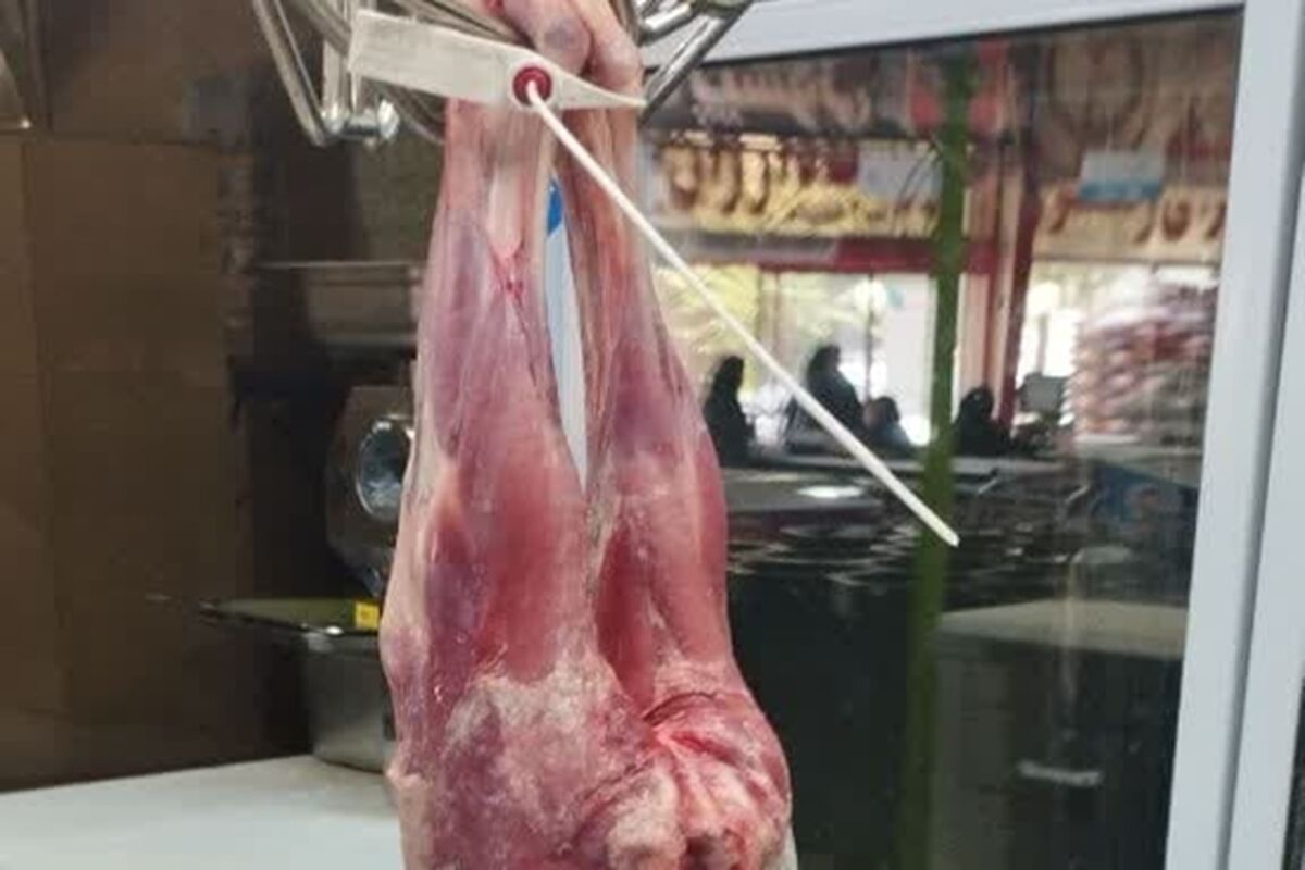 گوشت فاسد