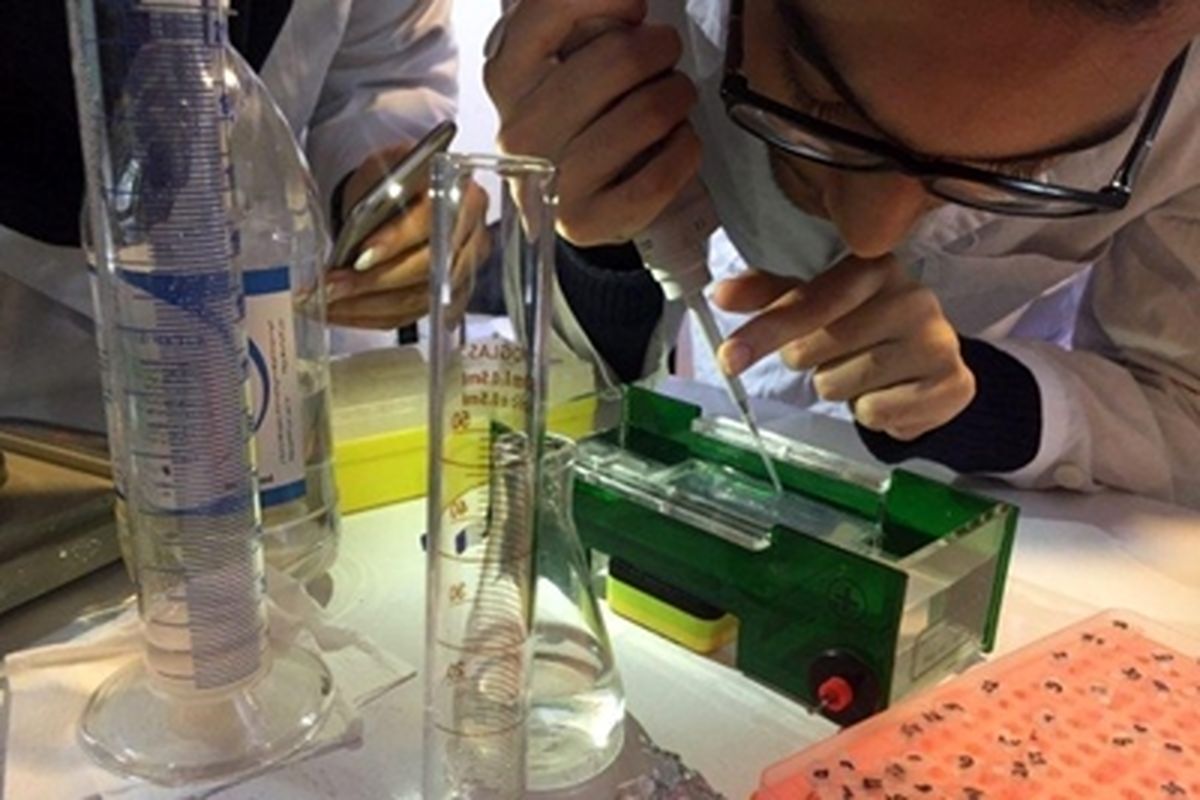 دانشگاه علوم پزشگی گیلان