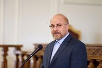 پیام تبریک قالیباف در پی کسب مدال طلا و شکستن رکورد المپیک توسط جواد فروغی