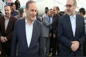 معاون امنیتی وزیر کشور به ایلام وارد شد