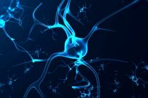 مقابله با  پارکینسون با روشی جدید میسر شد